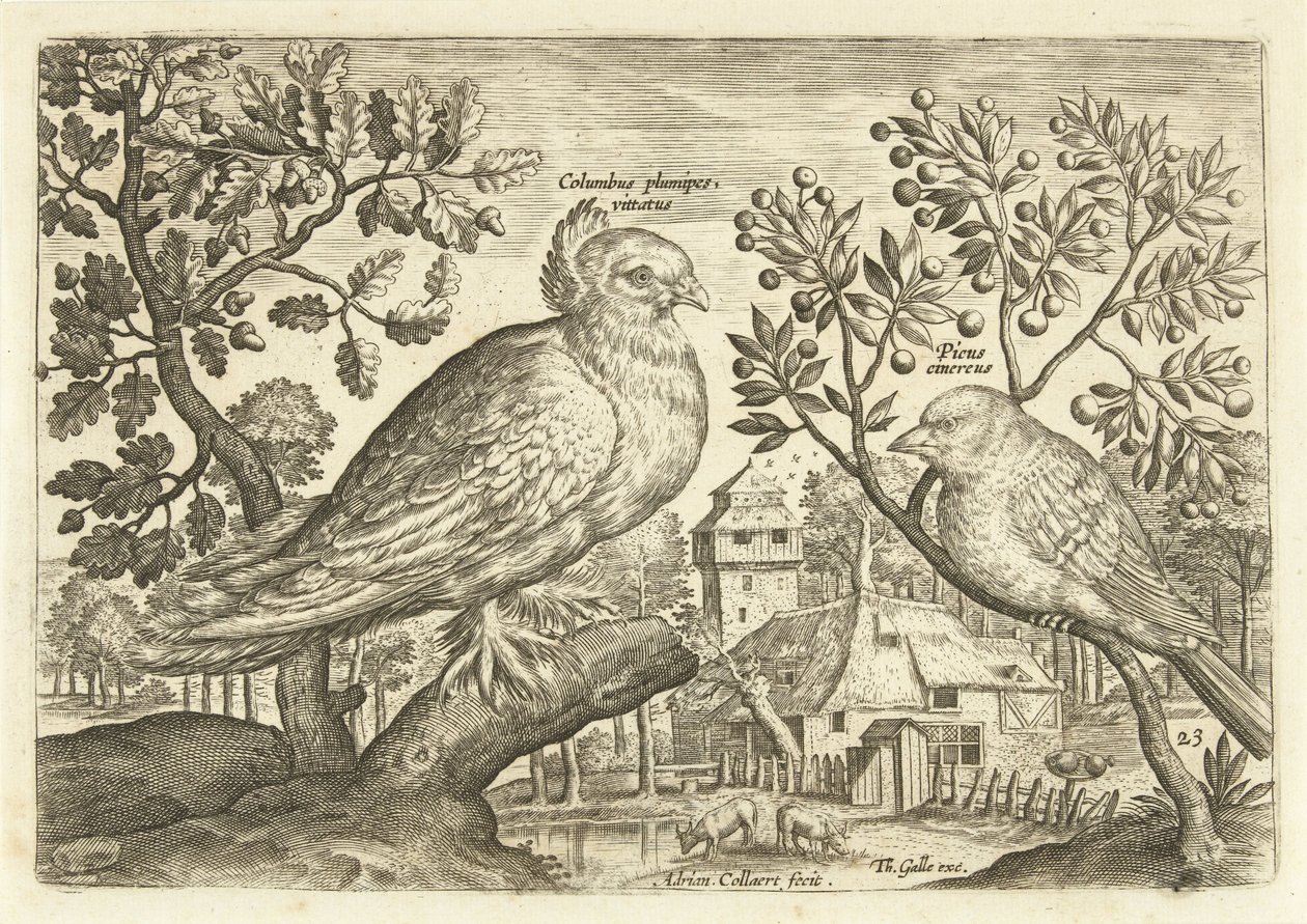 Twee vogels in een landschap door Adriaen Collaert