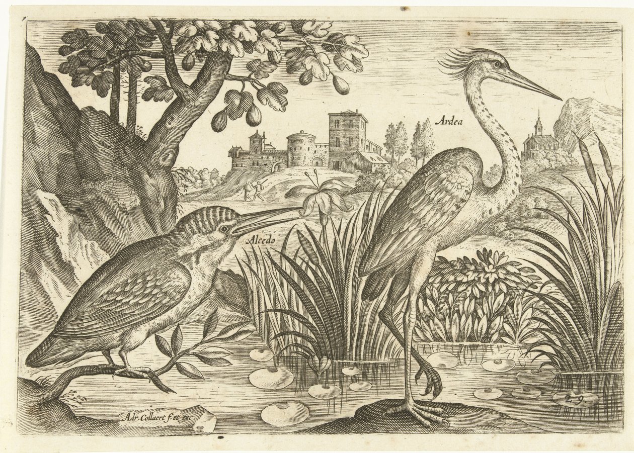 Twee vogels in een landschap door Adriaen Collaert