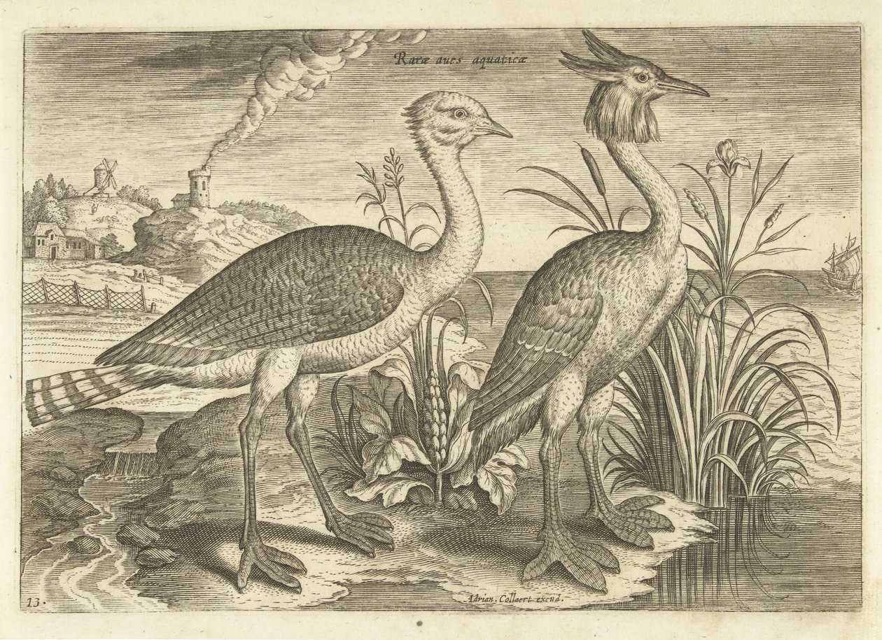 Twee waadvogels in een landschap door Adriaen Collaert