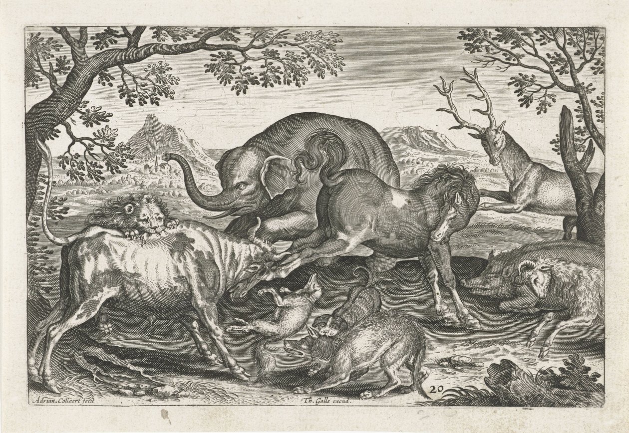 Vechtende dieren Vierpotige dieren (serie titel) Animalivm Qvaddrvpedvm (serie titel) door Adriaen Collaert