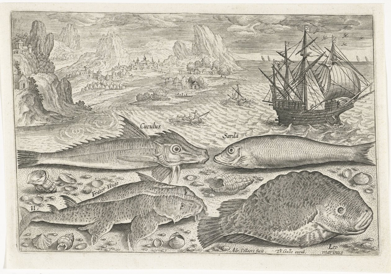 Vier vissen op het strand door Adriaen Collaert
