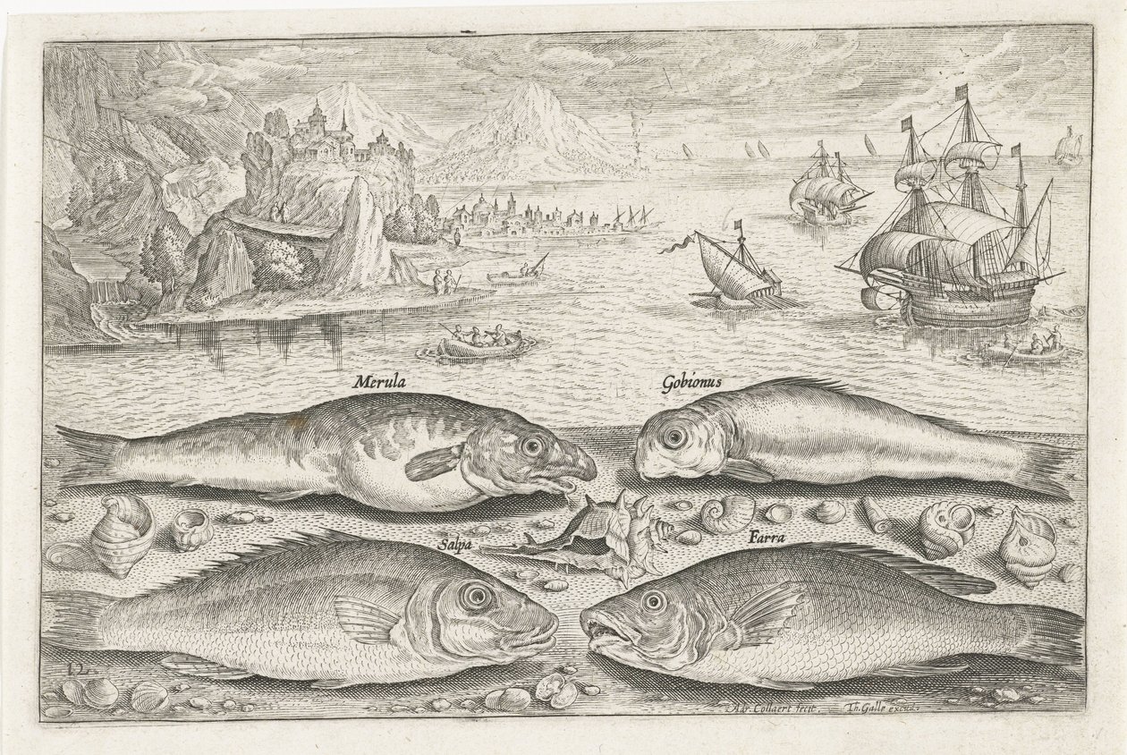 Vier vissen op het strand door Adriaen Collaert