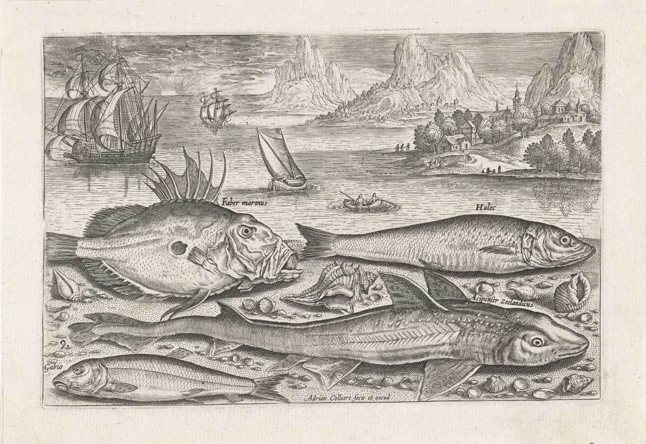 Vier vissen op het strand door Adriaen Collaert