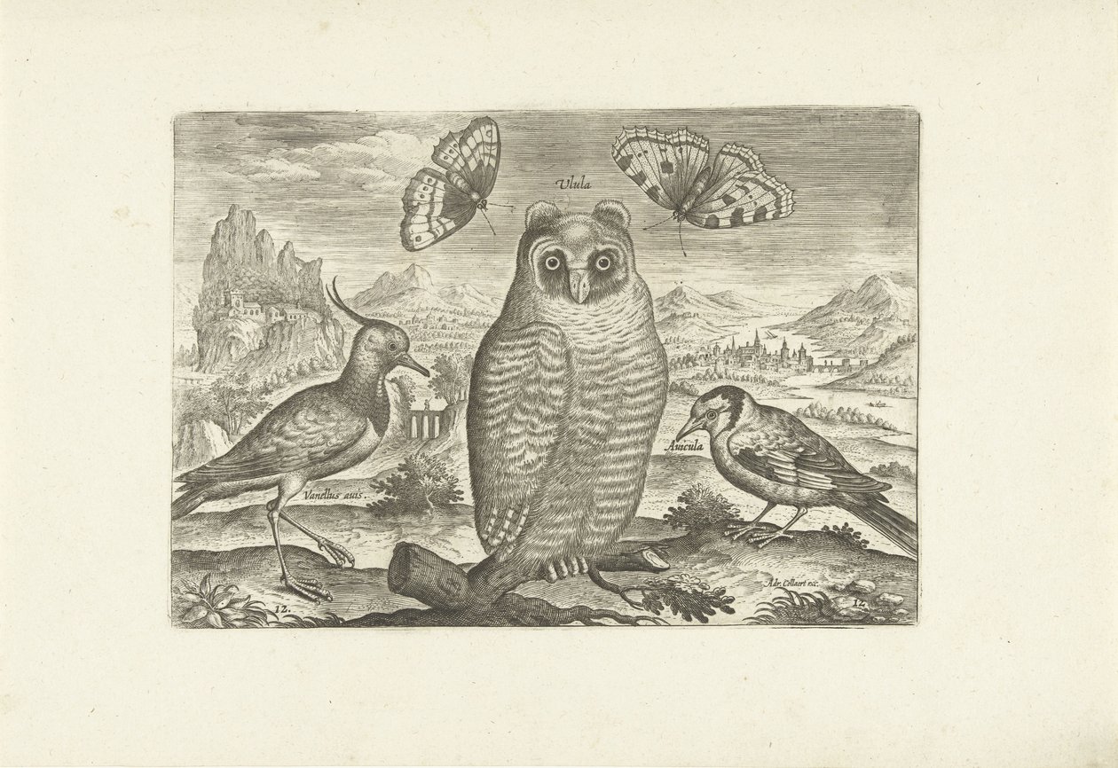 Vogels en vlinders in een landschap door Adriaen Collaert