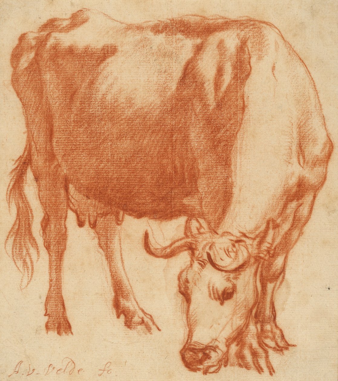 Een grazende koe, ca. 1663 door Adriaen van de Velde