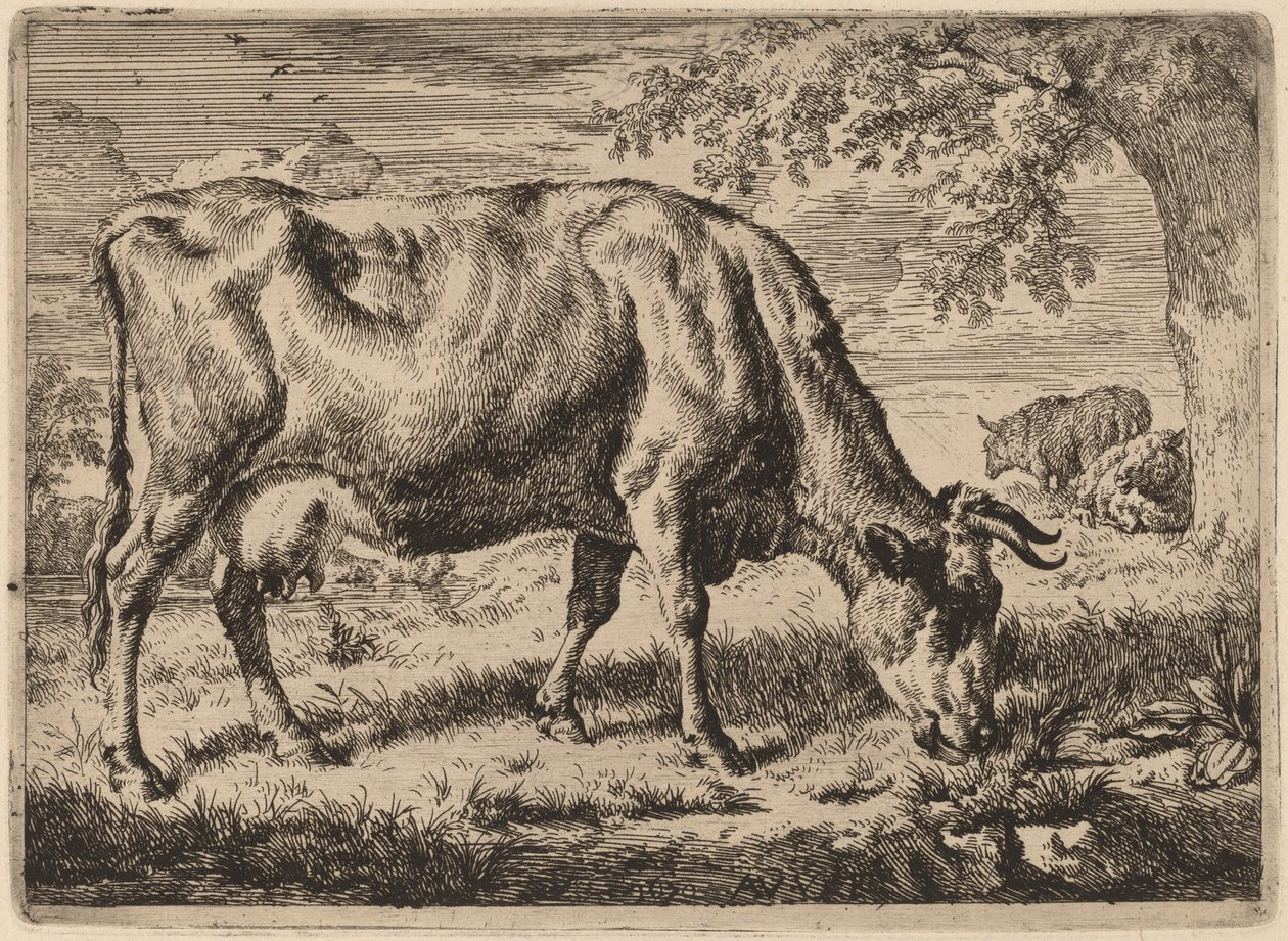 Grazende Koe met Twee Schapen door Adriaen van de Velde