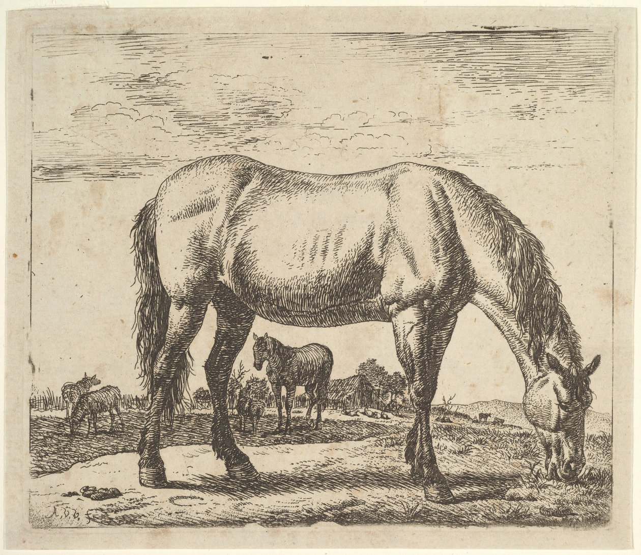 Grazend Paard, uit Verschillende Dieren door Adriaen van de Velde