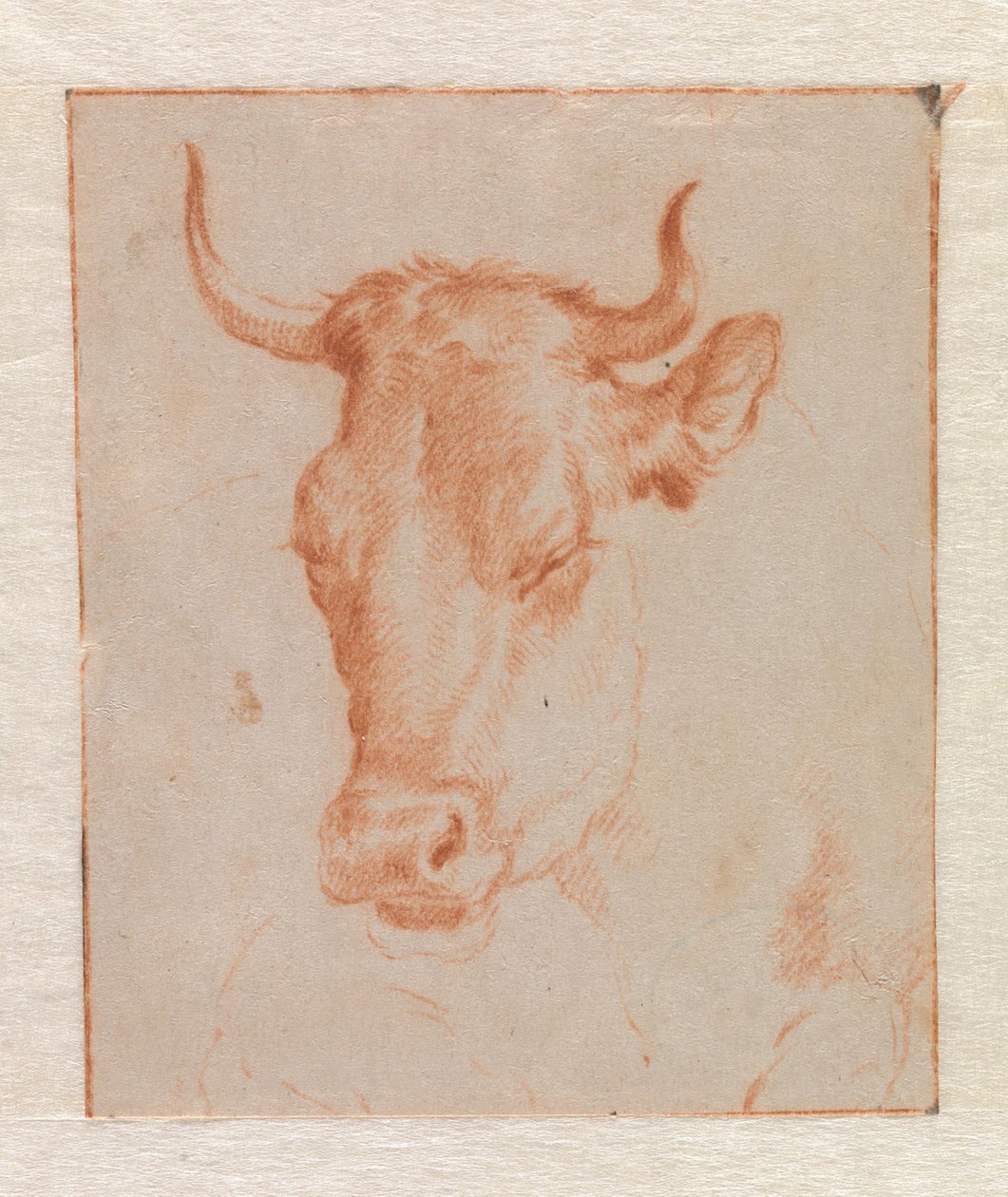 Koeiekop door Adriaen van de Velde