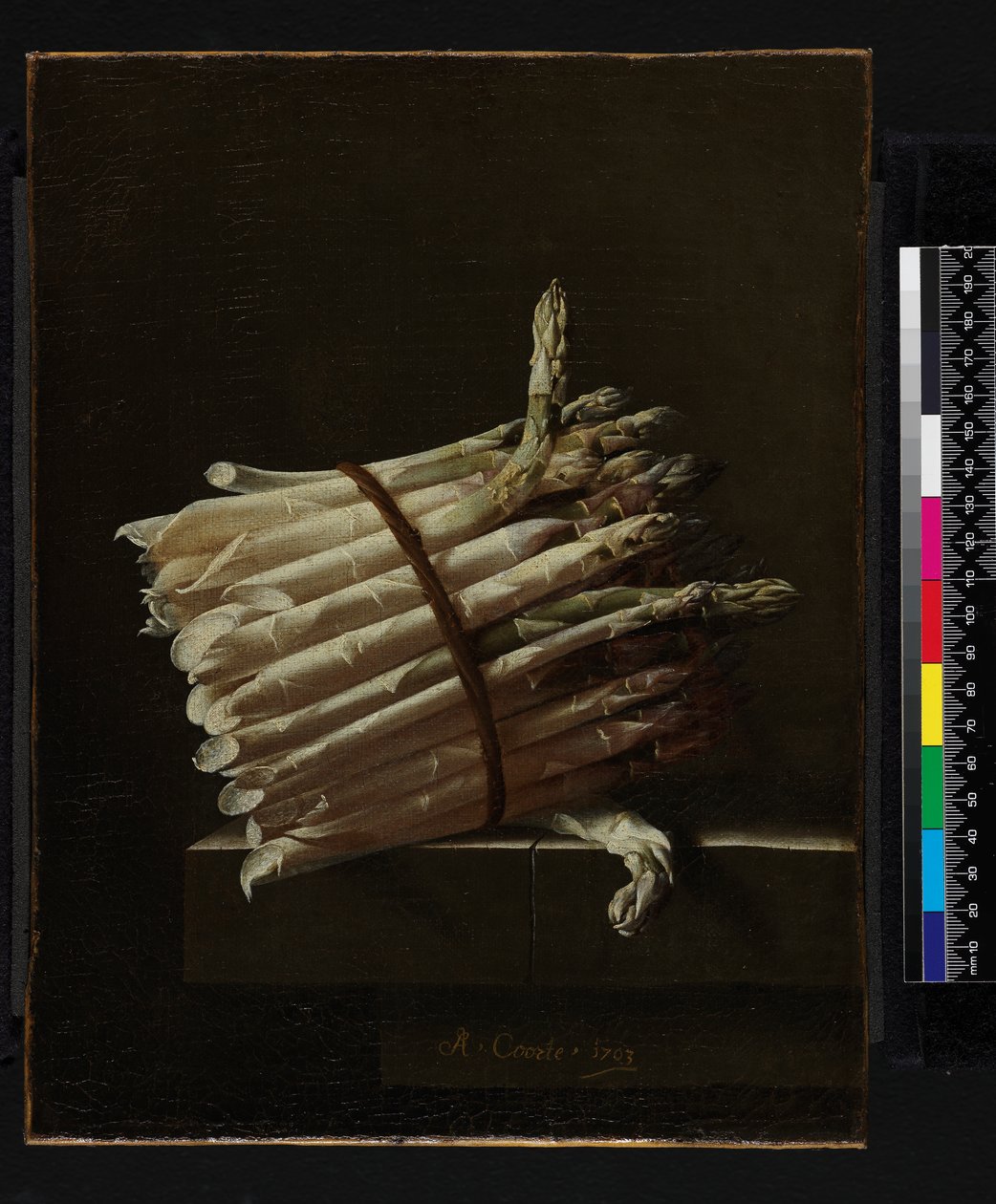 Bosje asperges door Adrian Coorte