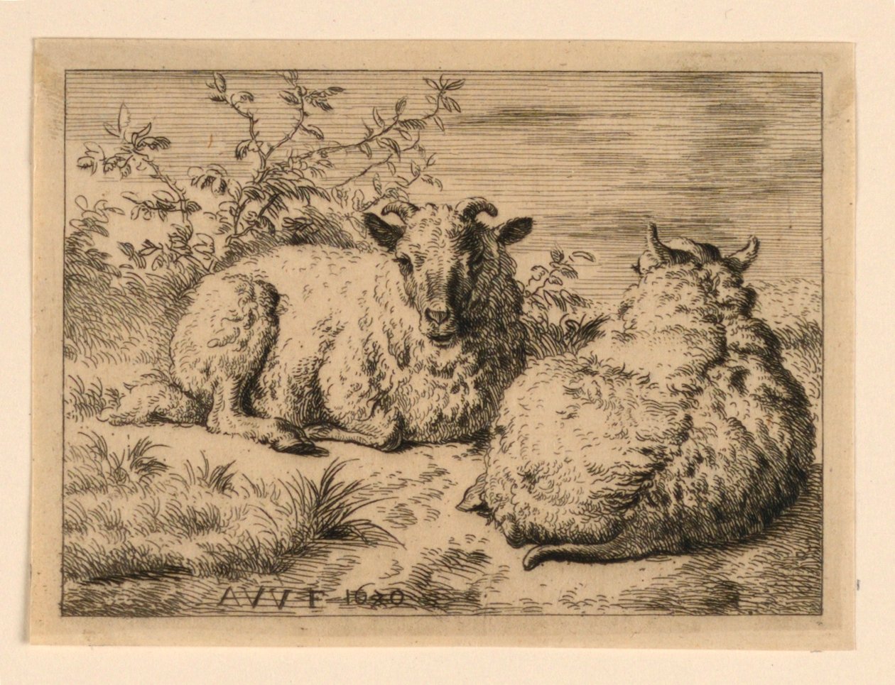 De Twee Schapen door Adrian van de Velde