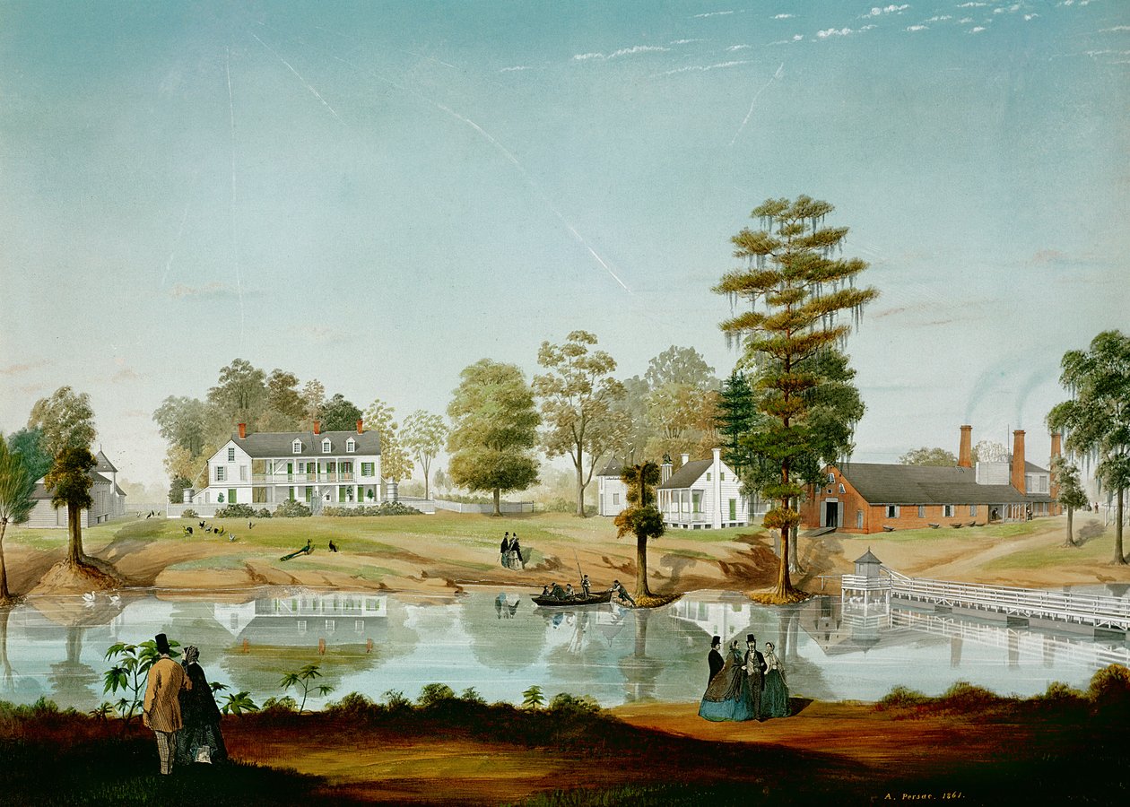 De Olivier-plantage, 1861 door Adrien Persac
