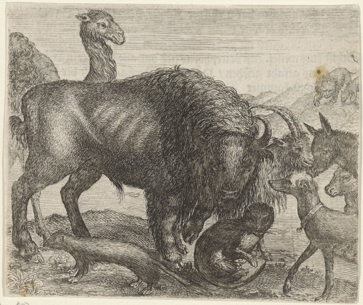 Fabel van de bizon en de andere dieren door Egidius  Sadeler (II)