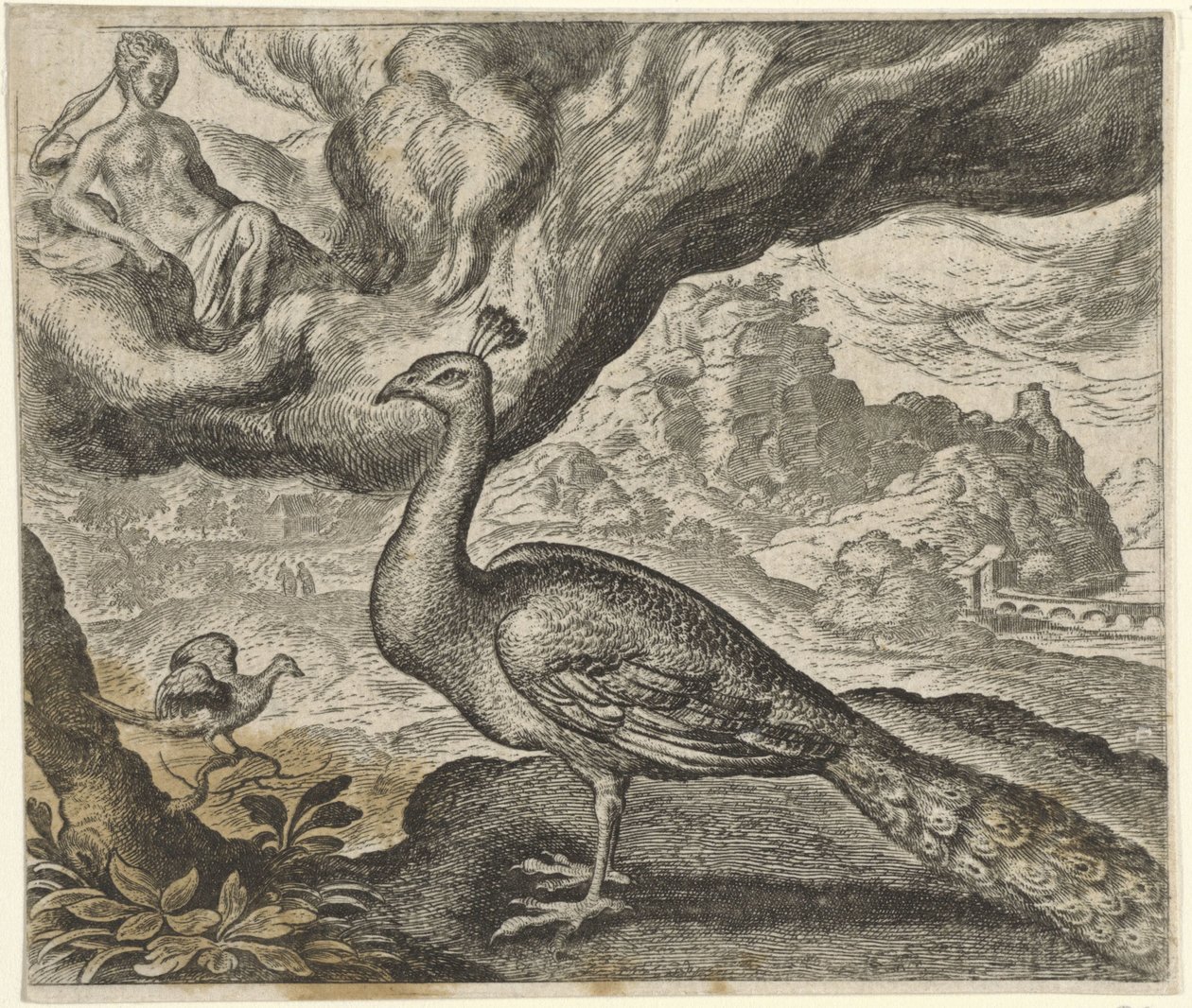 Fabel van de pauw en de nachtegaal door Egidius  Sadeler (II)