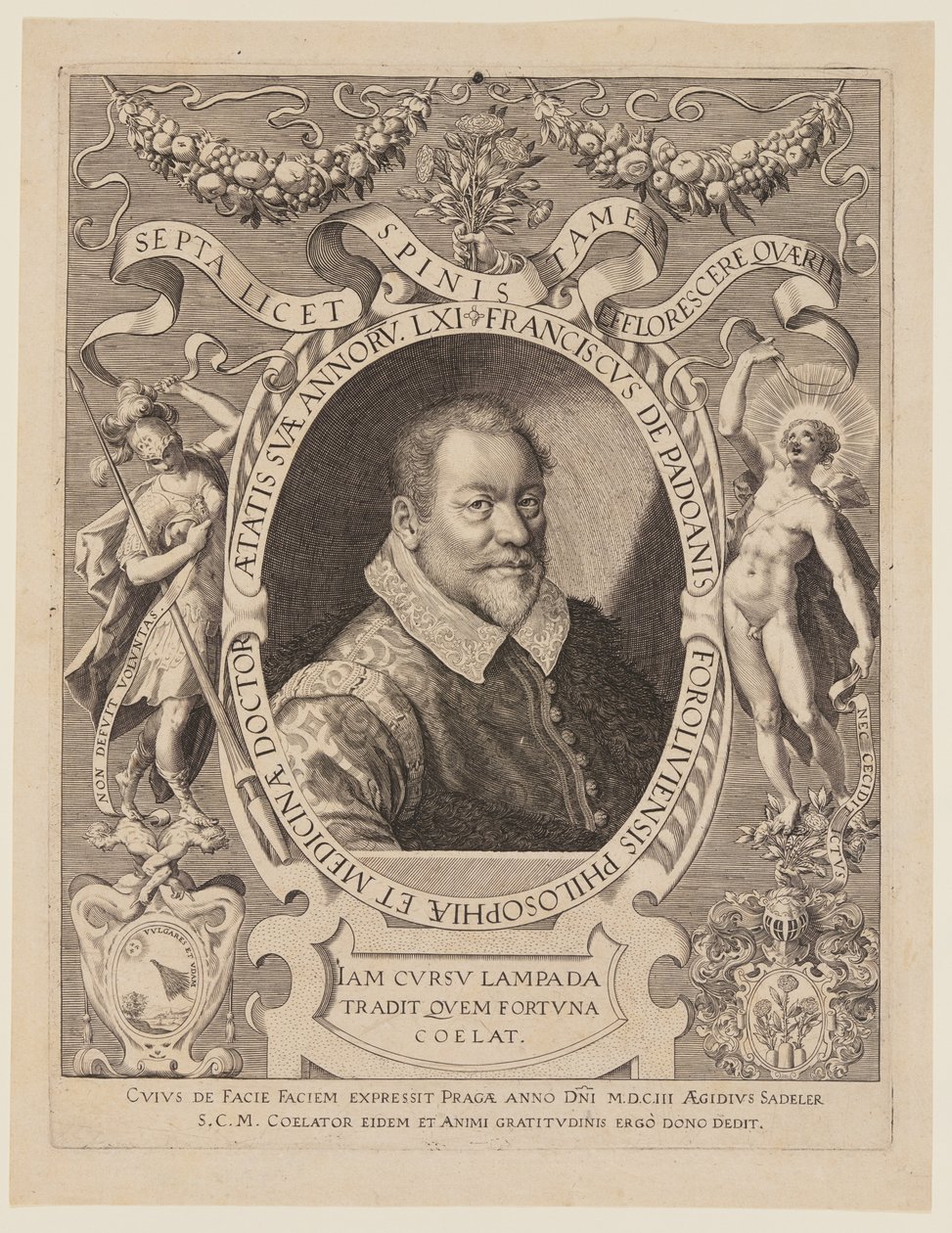 Franciscus de Padoanis Foroliviensis (Franciscus van Forli) door Aegidius Sadeler II
