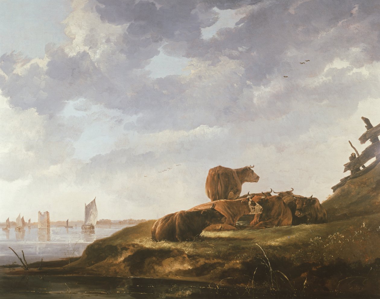 Zeven koeien door Aelbert Cuyp