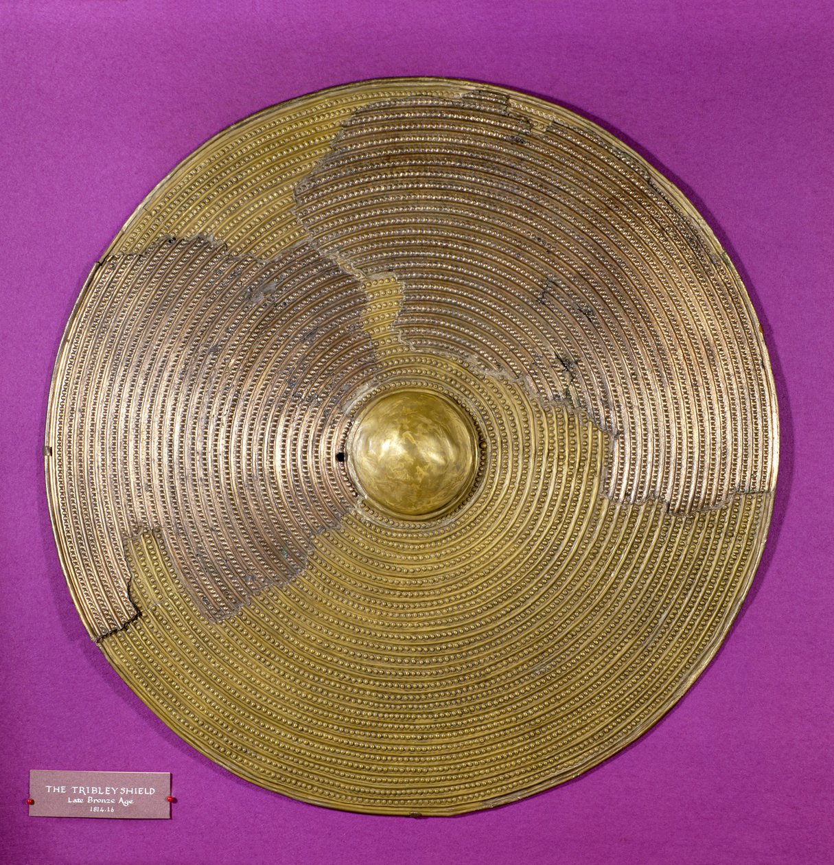 Schild van Tribley, late Bronstijd door Age Bronze