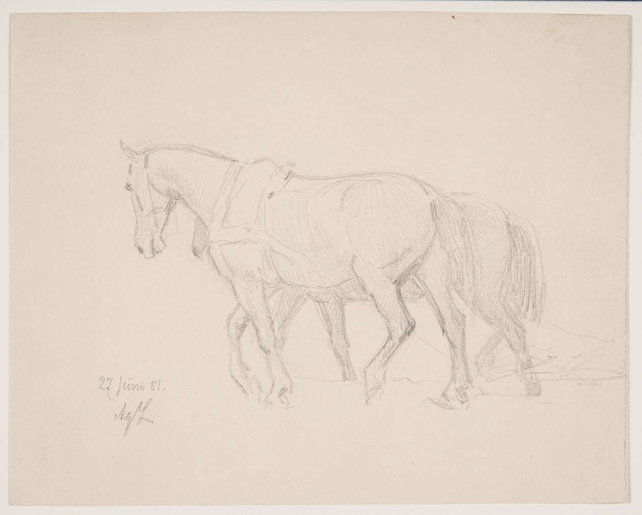 Te paard door Agnes Lunn