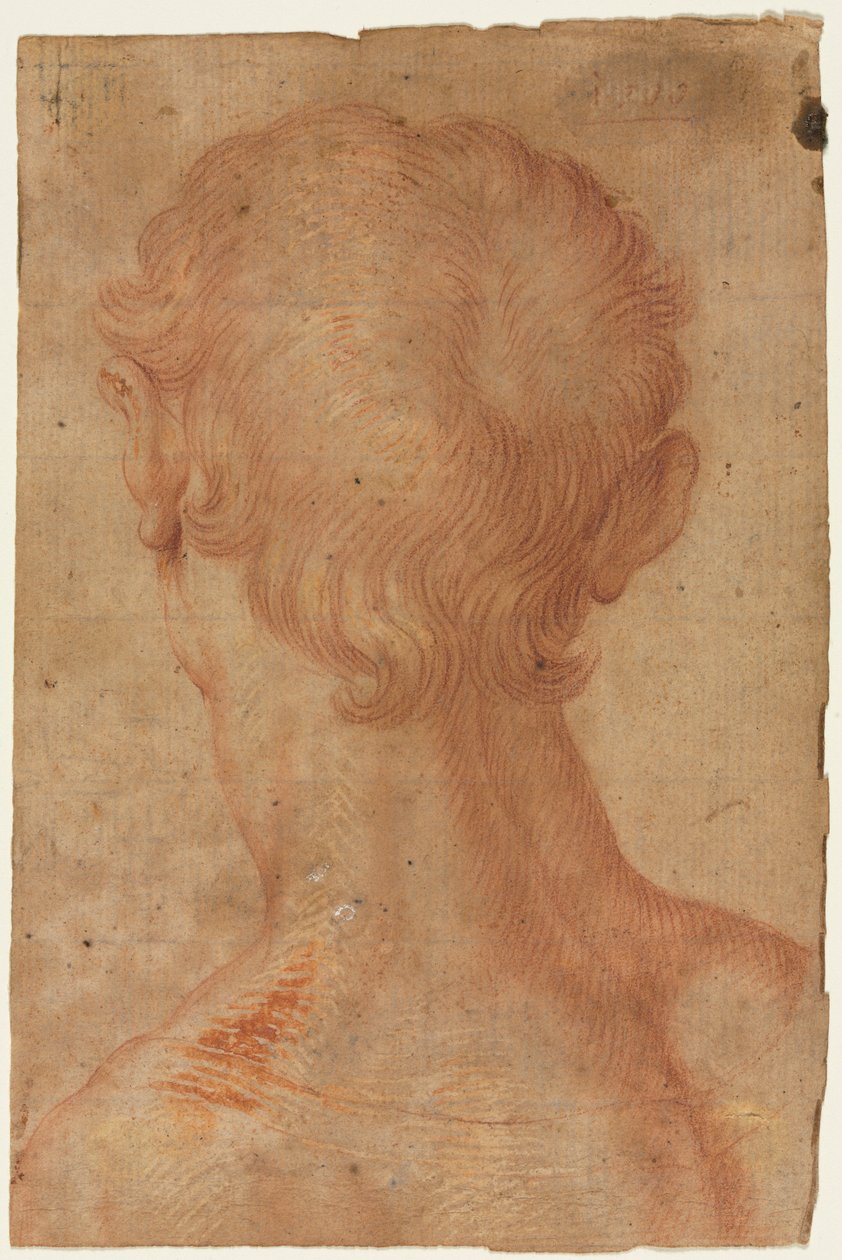 Männerkopf von hinten door Agnolo Bronzino