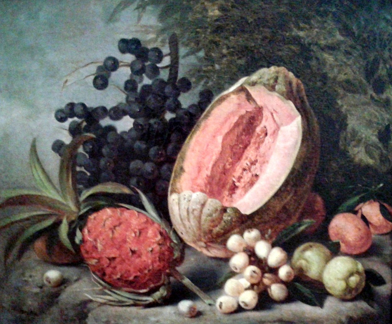 Pompoen en ananas door Agostinho Jose da Mota