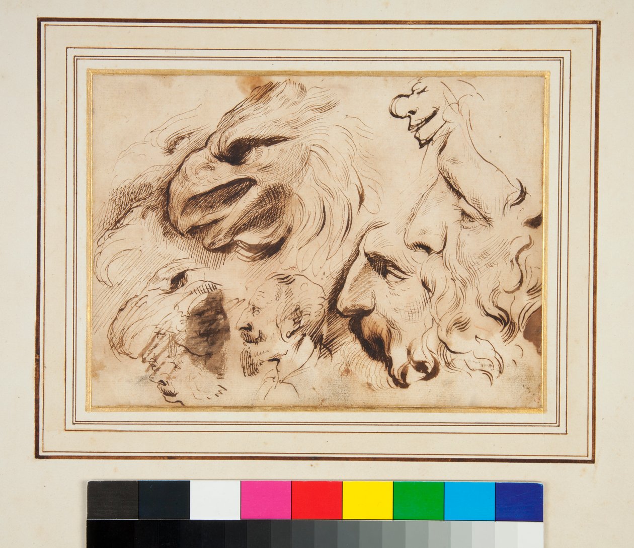 Blad met Studies van een Adelaarskop en Mannenprofielen en Karikaturen door Agostino Carracci