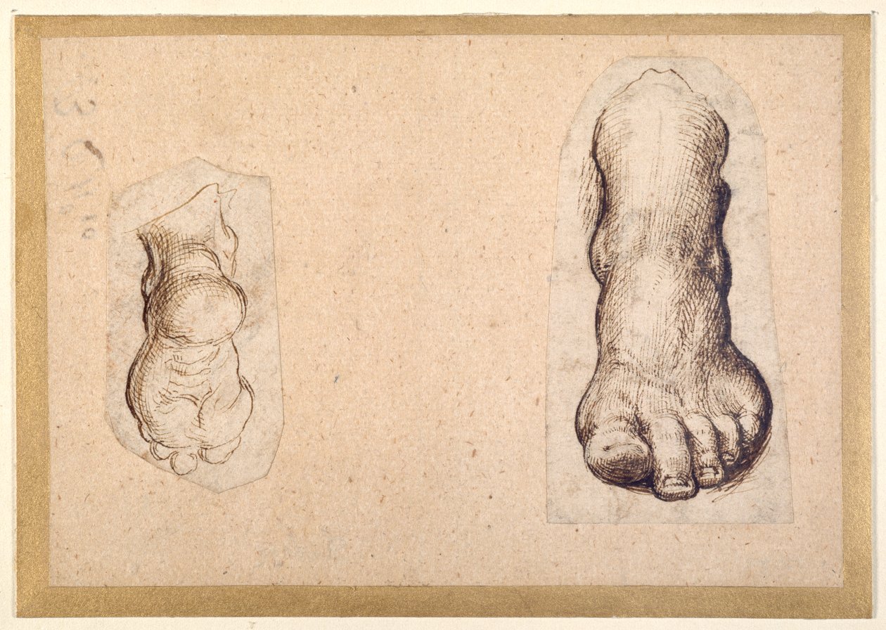 Twee studies van een voet in verkorting door Agostino Carracci
