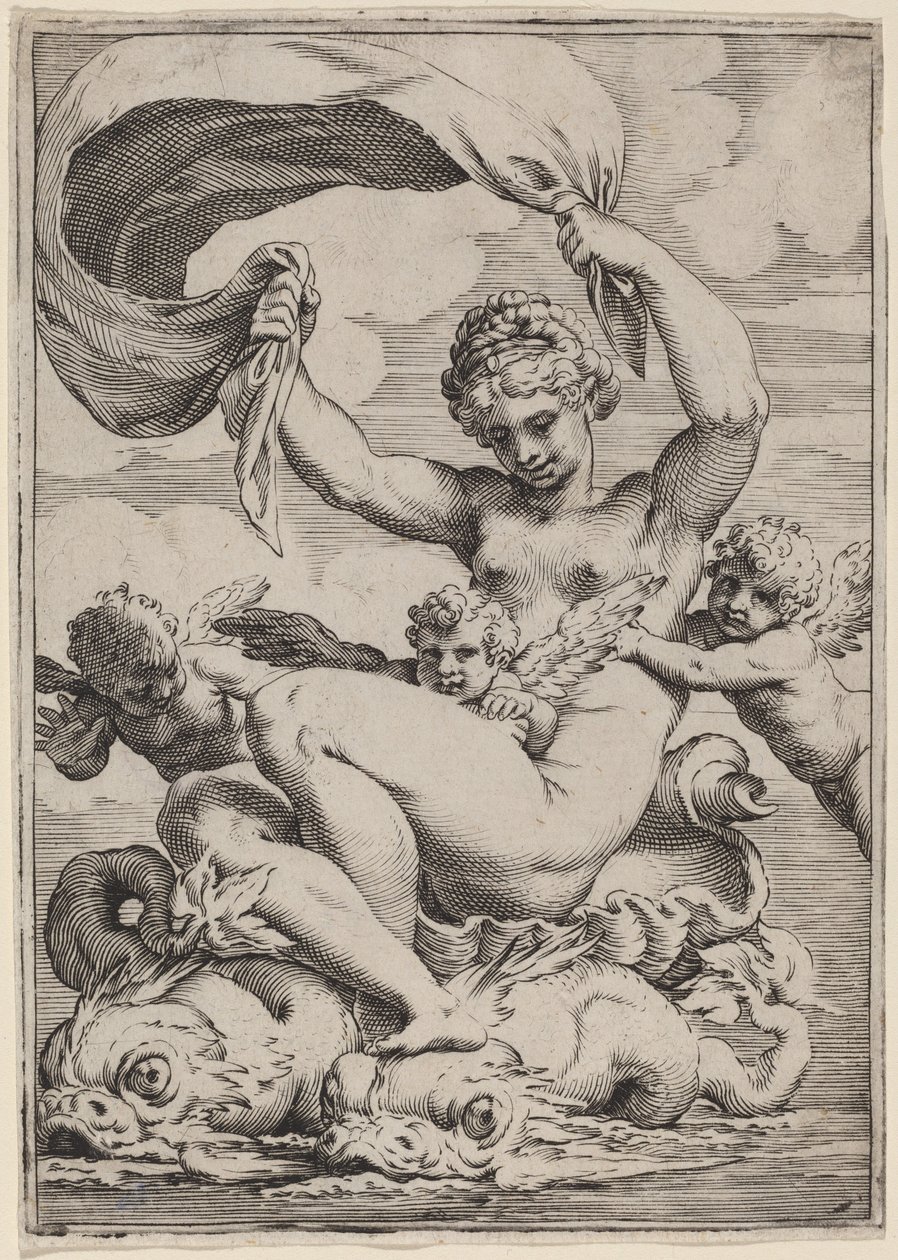 Venus of Galatea ondersteund door dolfijnen door Agostino Carracci