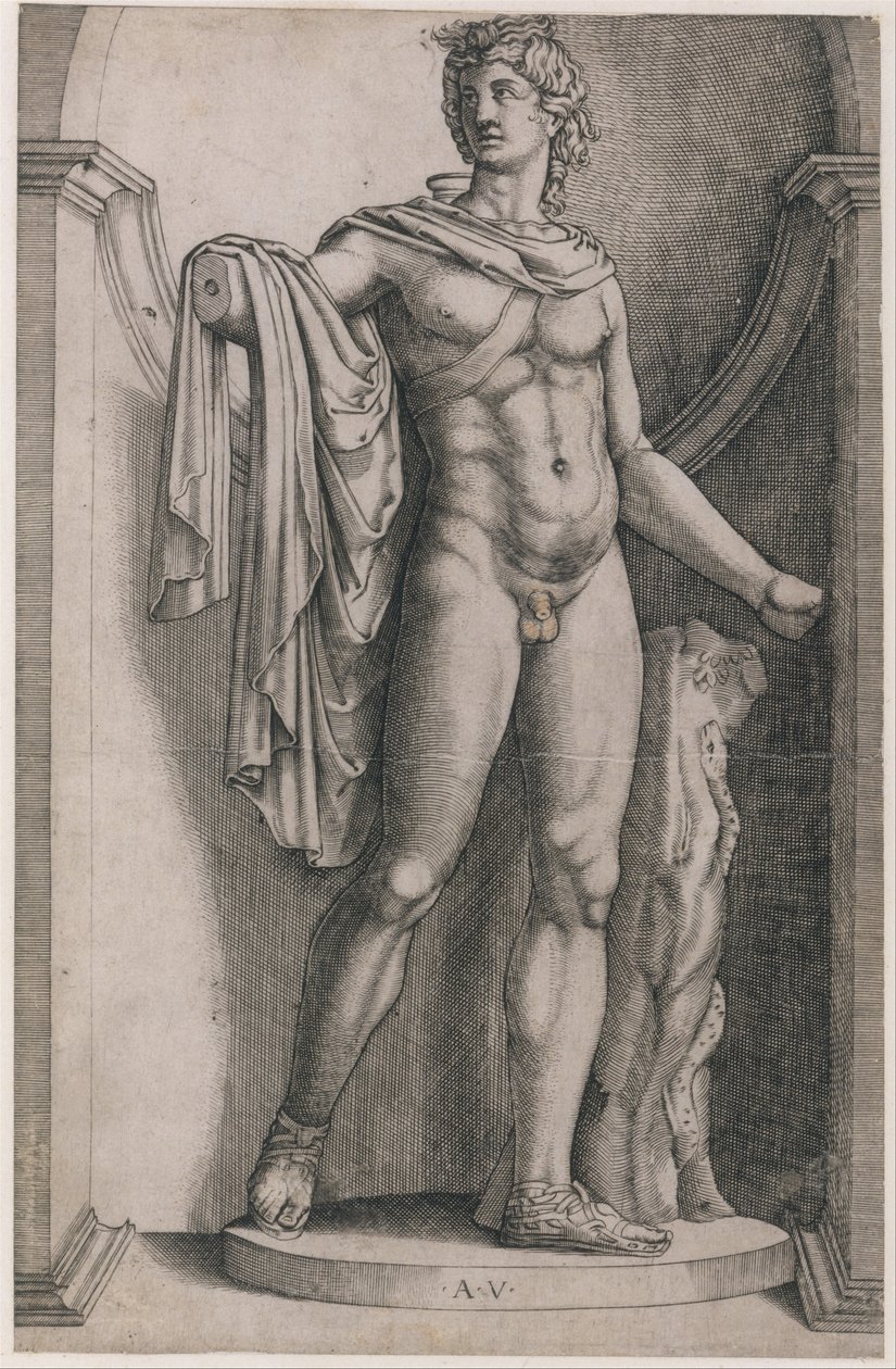 Speculum Romanae Magnificentiae: Apollo Belvedere door Agostino Veneziano
