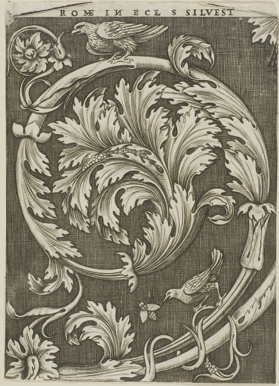 Bladornament uit oude Romeinse kerk door Agostino dei Musi