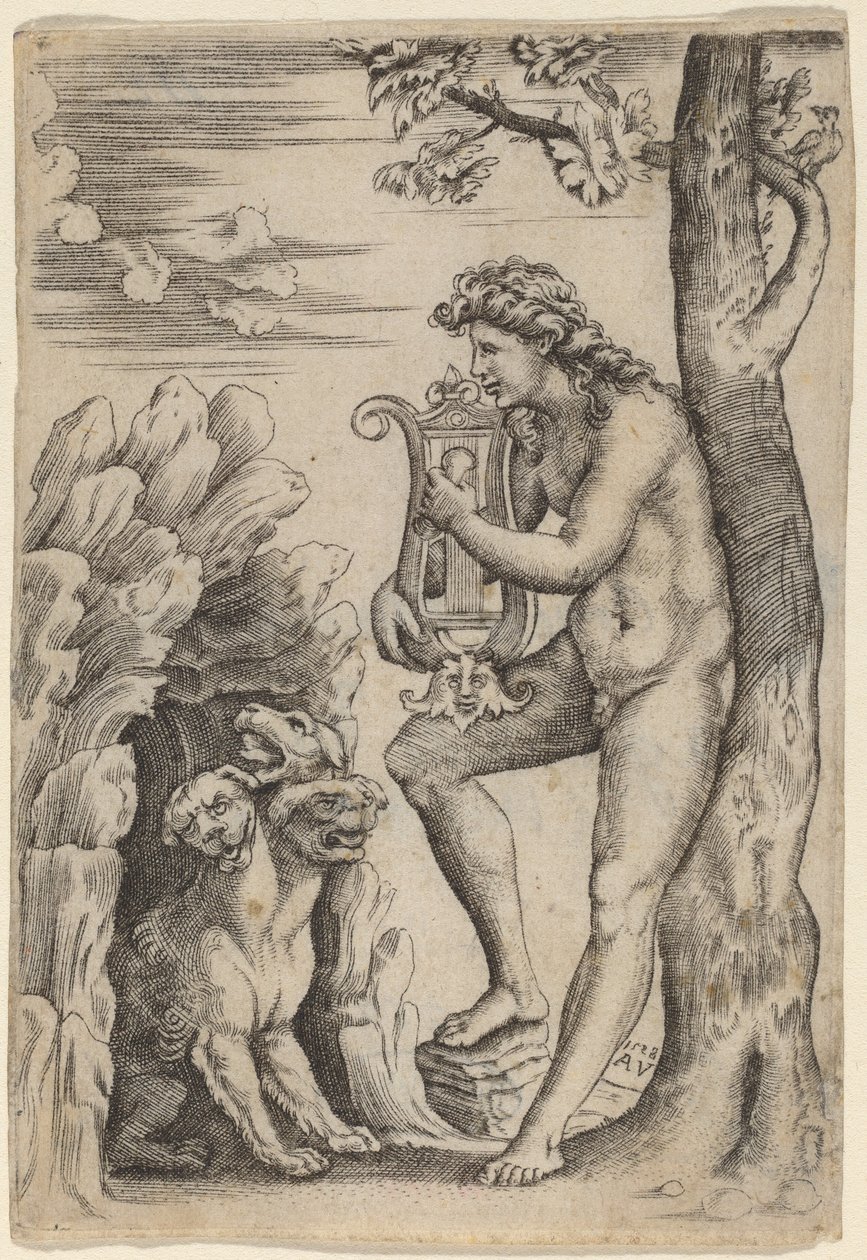 Orpheus door Agostino dei Musi