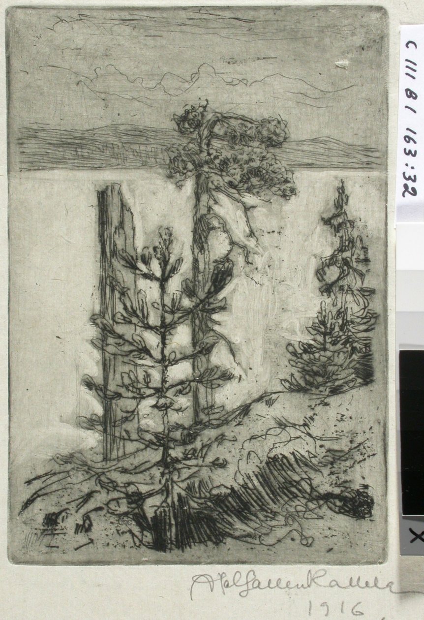Landschap aan het meer door Akseli Gallen-Kallela