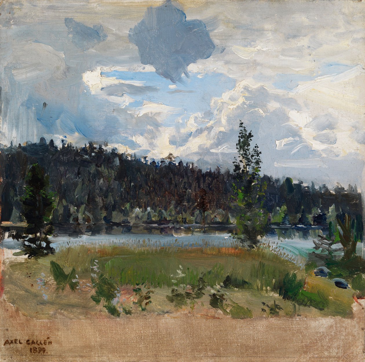 Licht achter de wolken door Akseli Gallen-Kallela