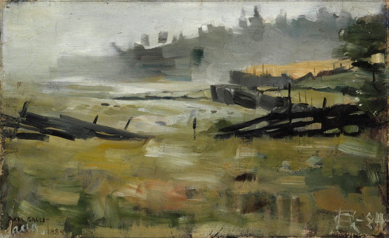 Mistig landschap door Akseli Gallen-Kallela