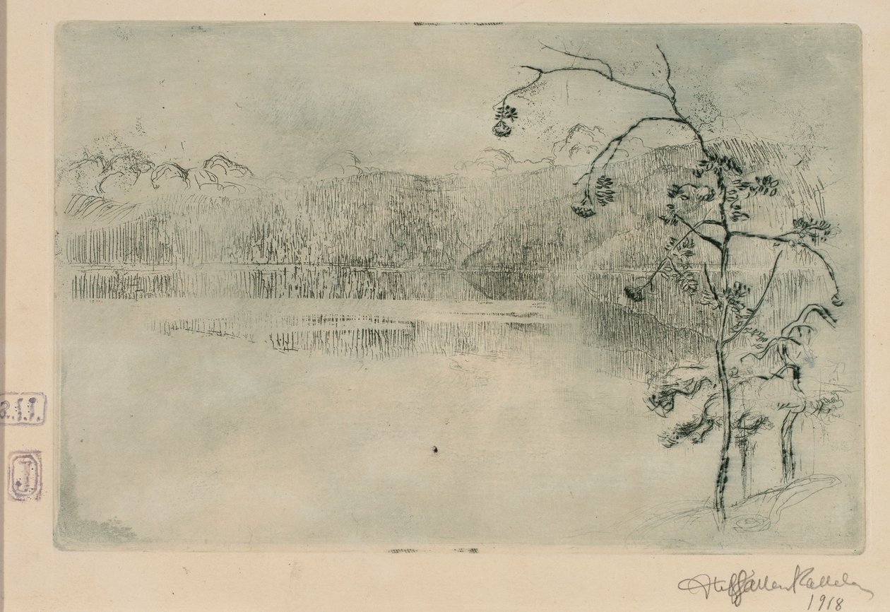 Paanajärvi-See im Nebel von Akseli Gallen-Kallela