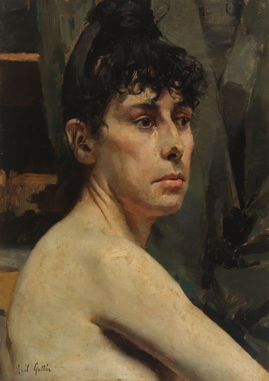Zonder titel door Akseli Gallen-Kallela