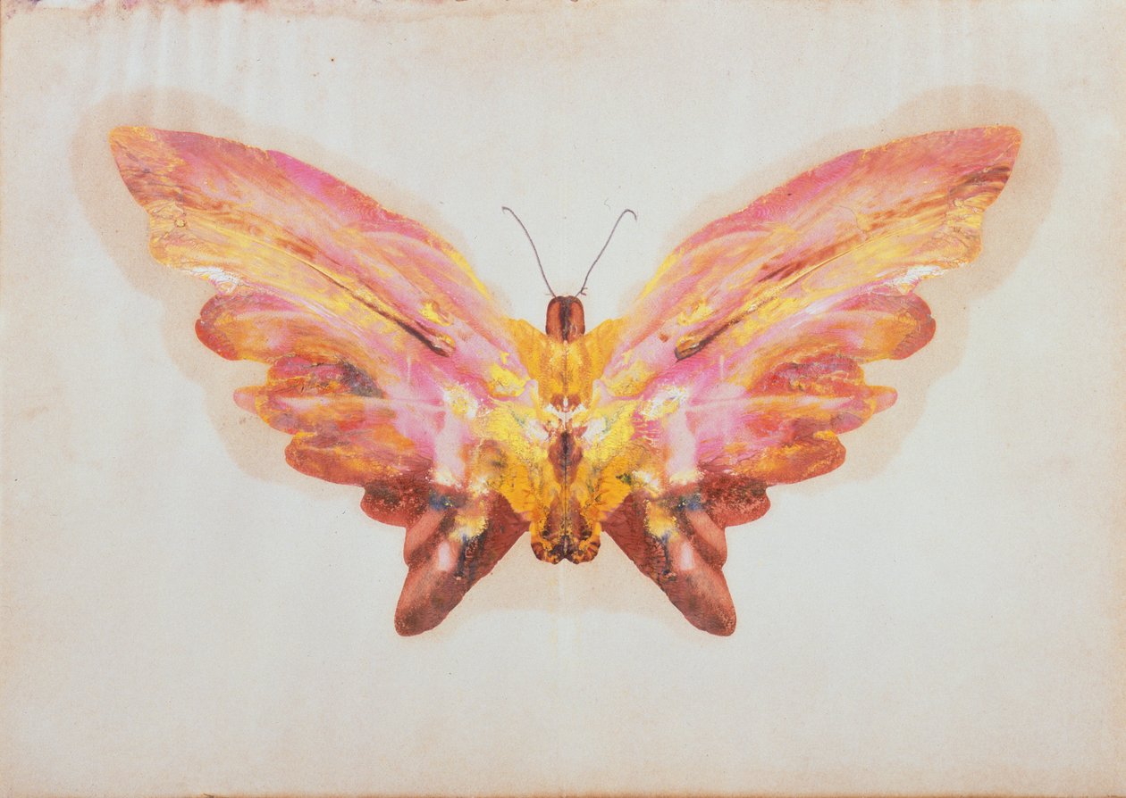 Vlinder door Albert Bierstadt