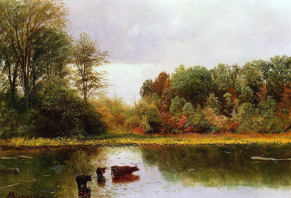 Koeien drinken in een landschap door Albert Bierstadt