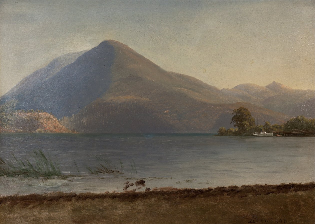 Aan de Hudson door Albert Bierstadt