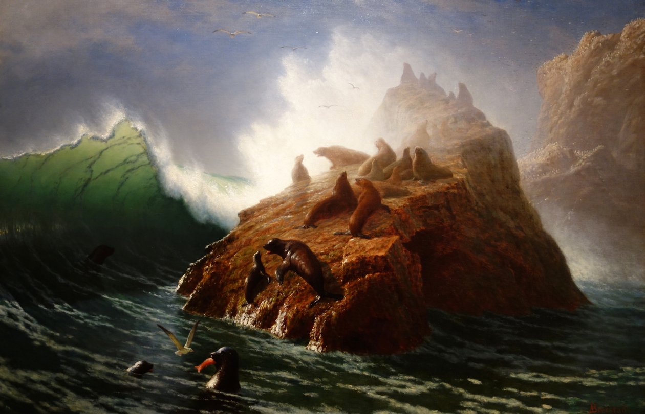 Zeehondenrots door Albert Bierstadt