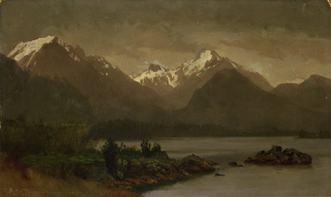 Zonder titel door Albert Bierstadt