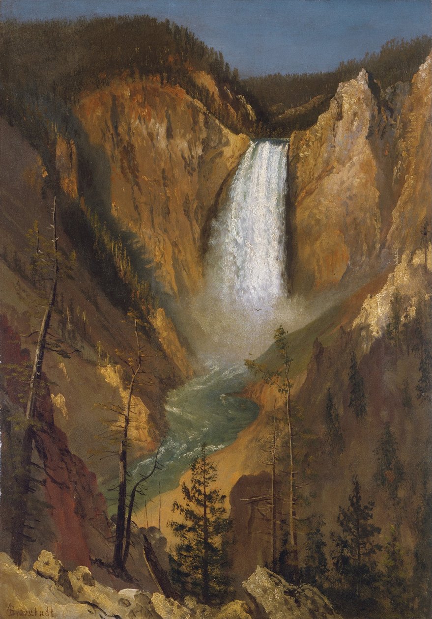 De Lower Falls van de Yellowstone door Albert Bierstadt