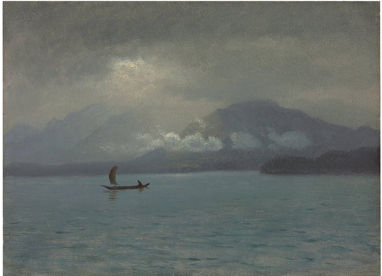 Noordwestkust door Albert Bierstadt
