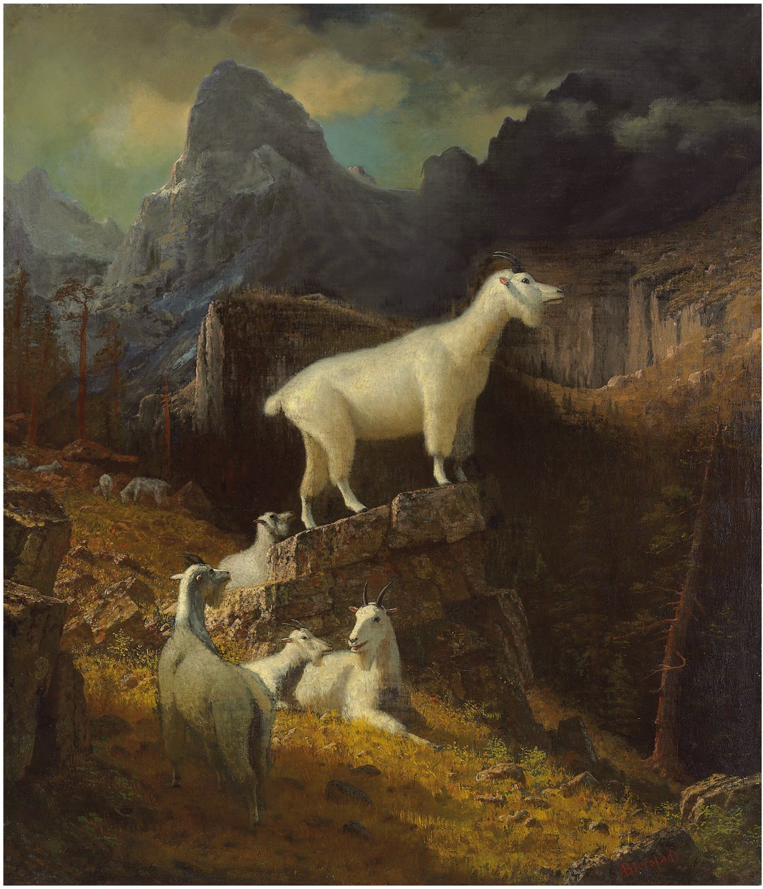 Rocky Mountain Geiten, ca. 1885 door Albert Bierstadt