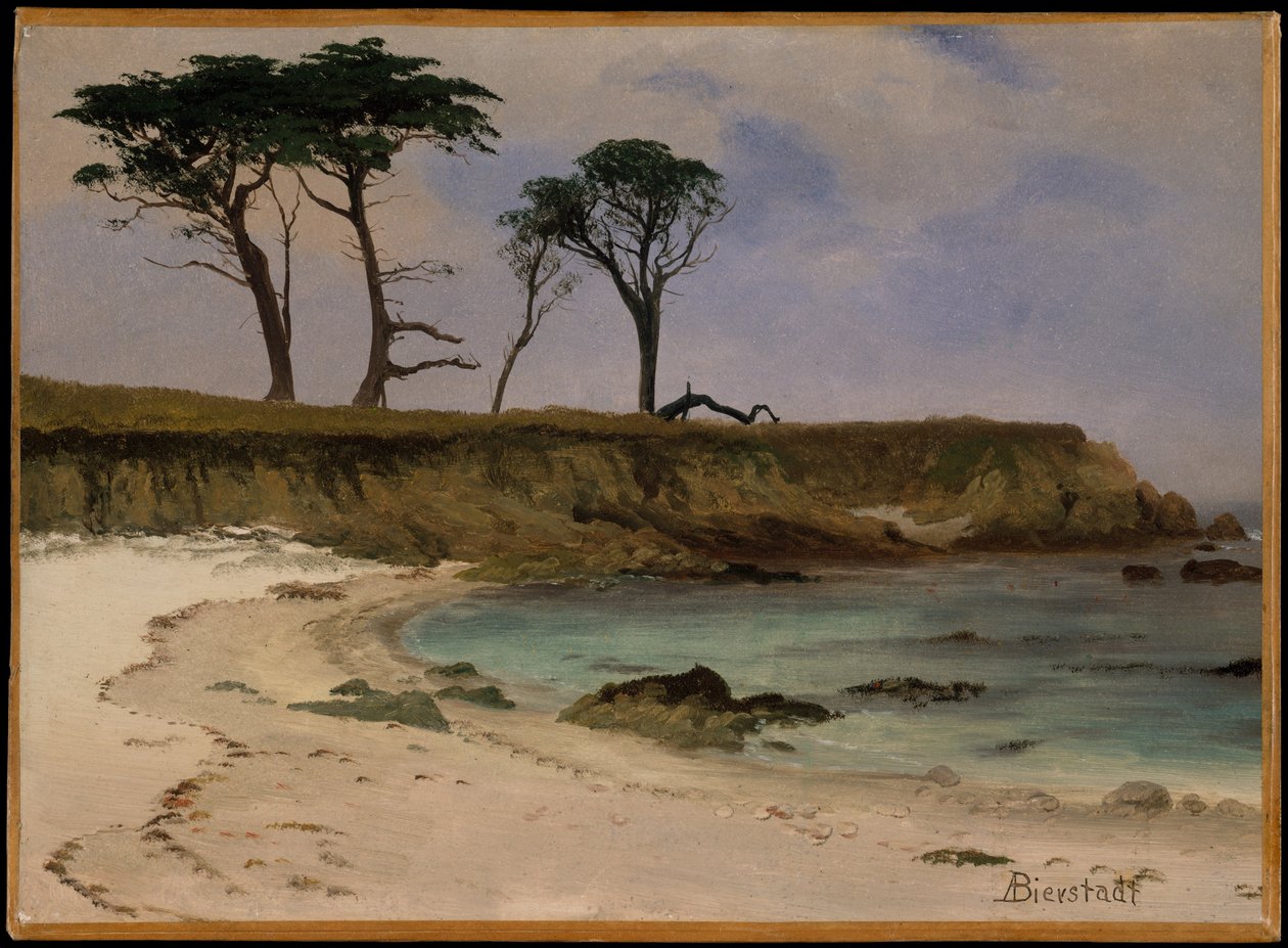 Sea Cove door Albert Bierstadt