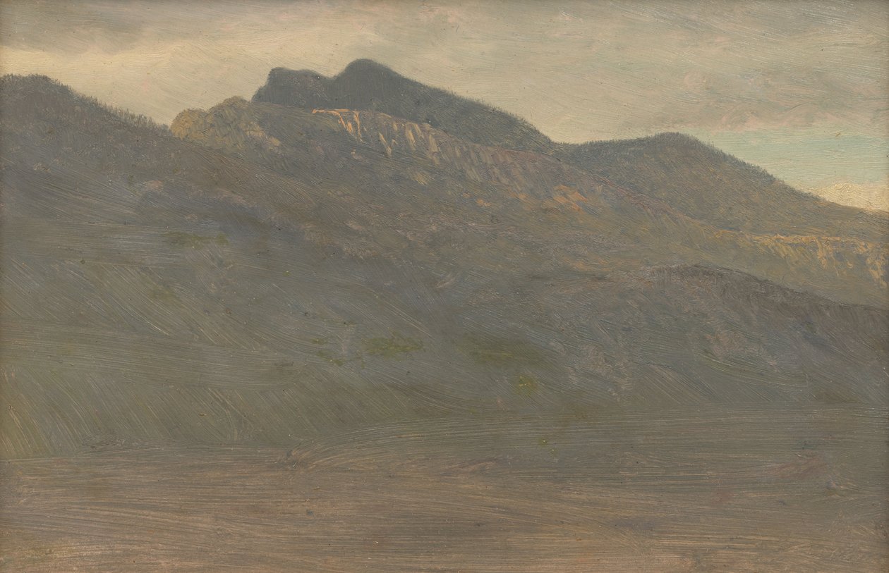 Rustig uitzicht op de bergen (White Mountains, New Hampshire) door Albert Bierstadt