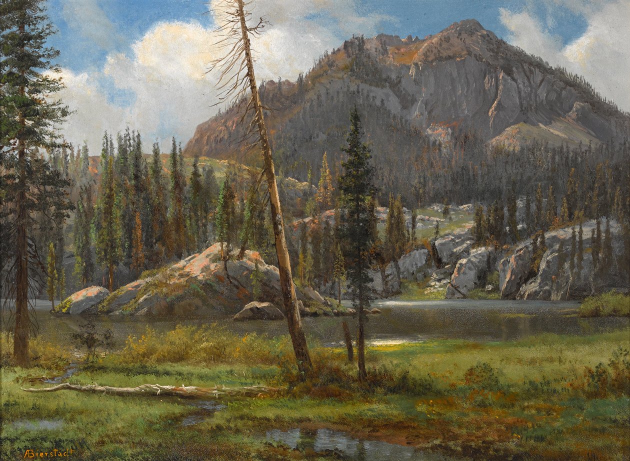 Zuidelijk Sierra Nevada-gebergte door Albert Bierstadt