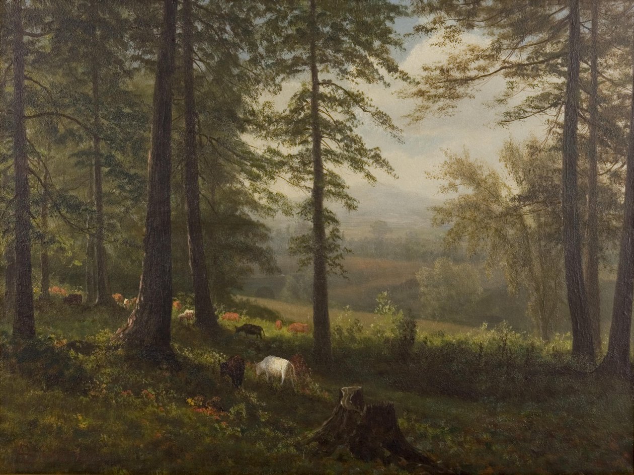 Uitzicht op een open plek door Albert Bierstadt