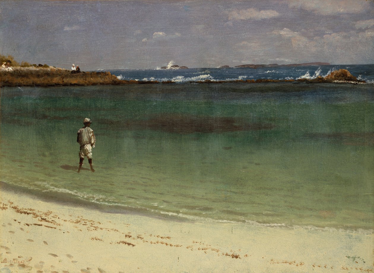 Kustgezicht uit West-Indië door Albert Bierstadt