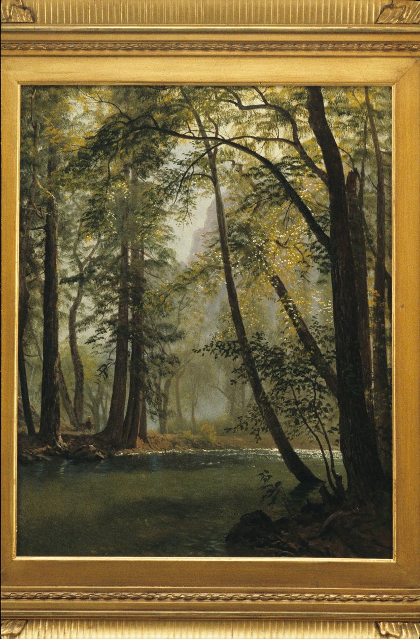 Yosemite Valley, Californië door Albert Bierstadt