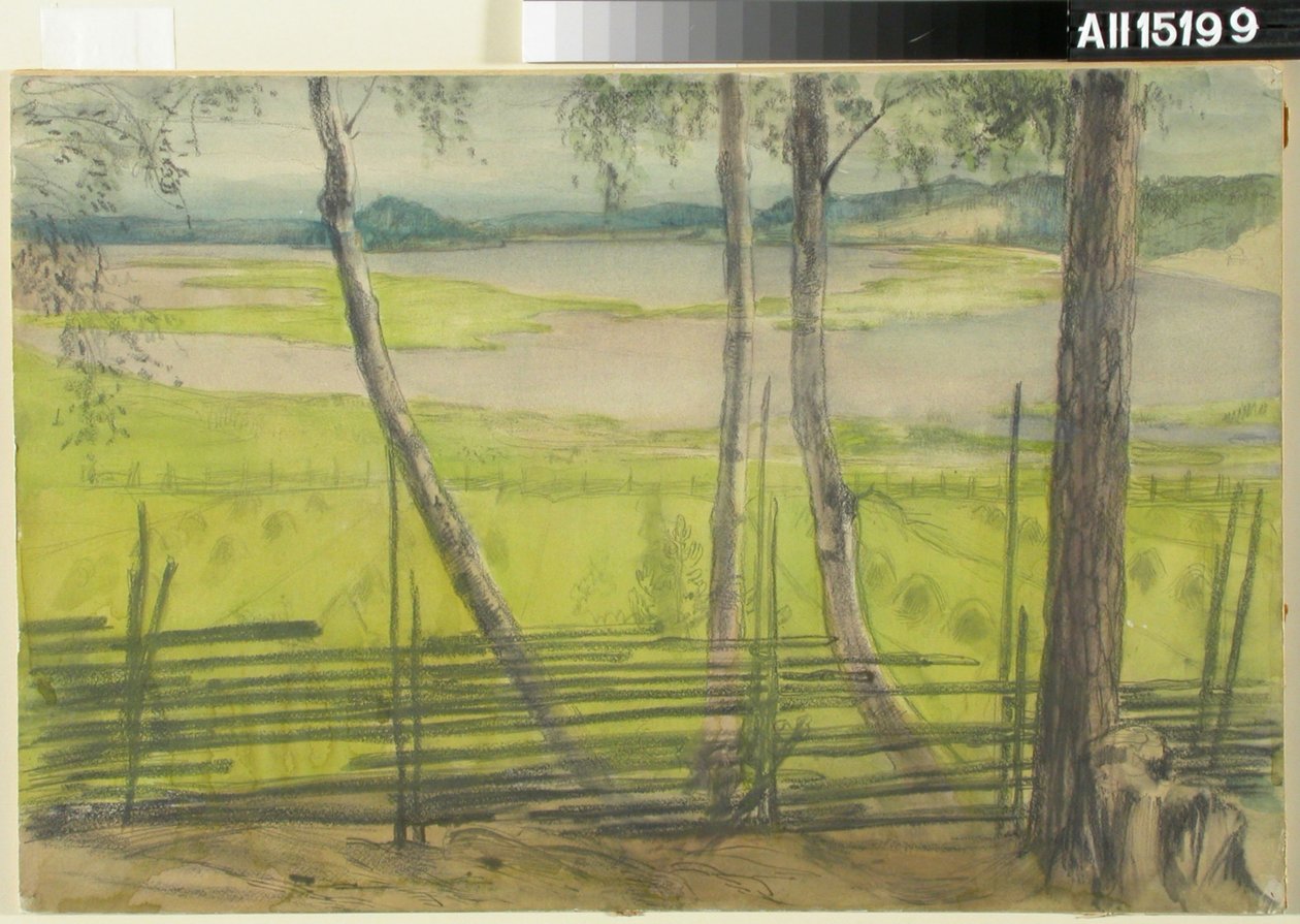 Zomerlandschap door Albert Edelfelt