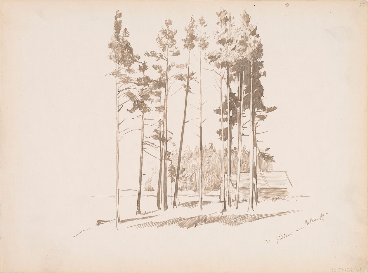 Zonder titel door Albert Edelfelt